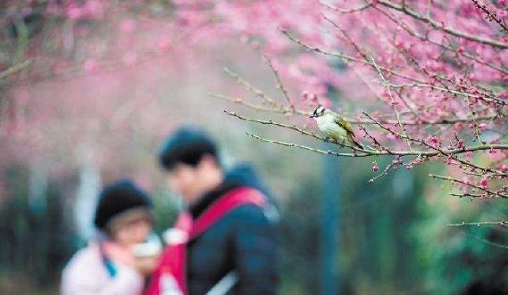 春季养生禁忌有哪些？春季健康养生别做8件事