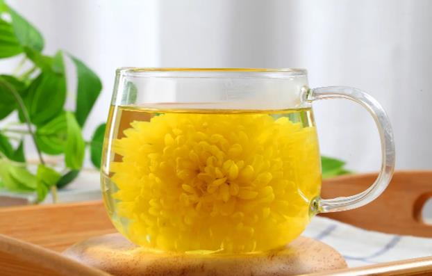 隔夜的菊花茶可不可以喝 常喝菊花茶都有哪些好处